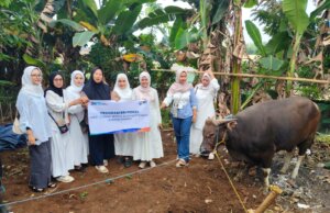 Idul Adha 1446 H, BRI Bogor Pajajaran Salurkan Bantuan Daging Bergizi untuk Masyarakat