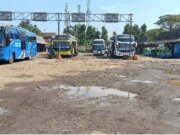 Revitalisasi Terminal Bubulak Dinilai Mendesak, Garda Revolusi Pemuda Bogor Minta Penegak Hukum Tindak Pengganggu Proyek