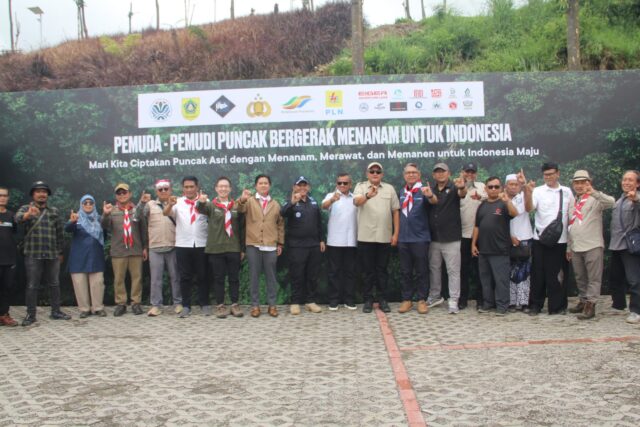 IMG-20251028-WA0135