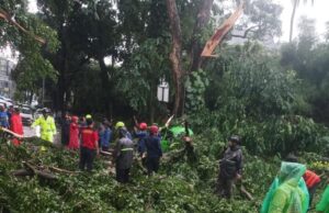 Hujan Deras dan Angin Kencang di Kota Bogor, Satu Unit Angkot Naas Tertimpa Pohon Tumbang