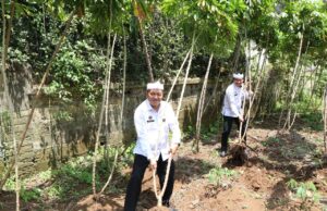 Kantor Imigrasi Bogor Jadi Contoh Lingkungan Kerja Hijau dengan Program Hidroponik