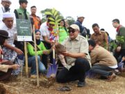 Bupati Bogor Komitmen Hijaukan Kabupaten Bogor Melalui Penanaman Pohon Di Seluruh Wilayah Kabupaten Bogor