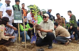 Bupati Bogor Komitmen Hijaukan Kabupaten Bogor Melalui Penanaman Pohon Di Seluruh Wilayah Kabupaten Bogor