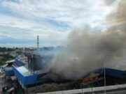 Kebakaran Hebat Hanguskan Pabrik Karoseri Delima Jaya Bogor, Puluhan Unit Damkar Diterjunkan