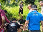 BMSN Kabupaten Bogor Gelar Pemotongan Hewan Kurban dari Bupati Bogor Rudy Susmanto