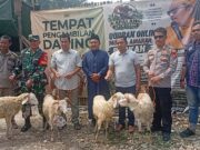 Tebar Kebaikan Jelang Idul Adha 1447 H, Kapalang Misteri Distribusikan 300 Ekor Hewan Kurban di Bogor