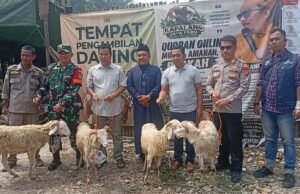 Tebar Kebaikan Jelang Idul Adha 1447 H, Kapalang Misteri Distribusikan 300 Ekor Hewan Kurban di Bogor