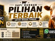 Kandang Sultan Hadirkan Sapi Qurban Premium, Siap Layani Kebutuhan Masyarakat Bogor dan Sekitarnya