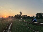 Tarif Listrik Triwulan III 2026 Tetap, PLN Siap Jalankan Kebijakan Pemerintah dan Jaga Kualitas Layanan ke Masyarakat