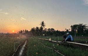 Tarif Listrik Triwulan III 2026 Tetap, PLN Siap Jalankan Kebijakan Pemerintah dan Jaga Kualitas Layanan ke Masyarakat
