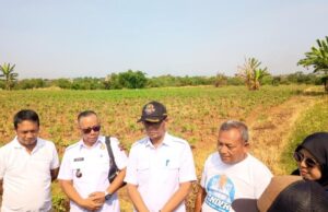 Bukan Cuma Solusi Sampah, Mega Proyek PSEL Kayumanis Jadi Angin Segar Penyerapan Tenaga Kerja Lokal