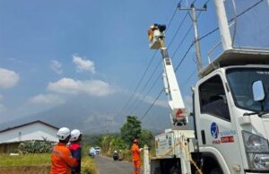 Lakukan Pemeliharaan Jaringan Tanpa Padam, Upaya PLN Jaga Listrik Pelanggan Tetap Andal